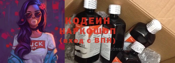 трава Инта