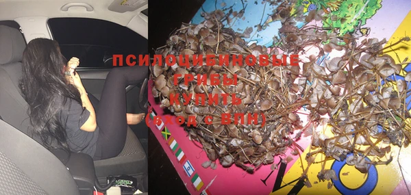 тгк Иннополис
