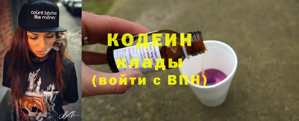 ГАЛЛЮЦИНОГЕННЫЕ ГРИБЫ Тайга