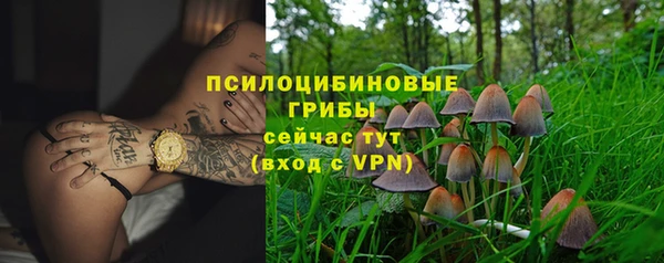 ешки Каменск-Шахтинский